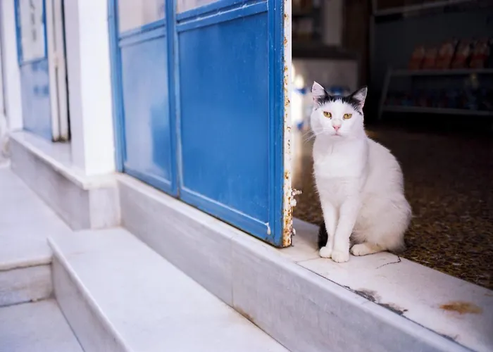 Venetian-style Santorini 1 Bedroom Astroglia Beautiful